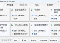 Windows11轻松设置v1.06绿色版08